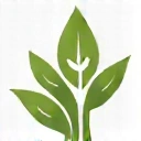 Iconiță reprezentând vitalitatea