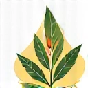 Ingrediente Naturale